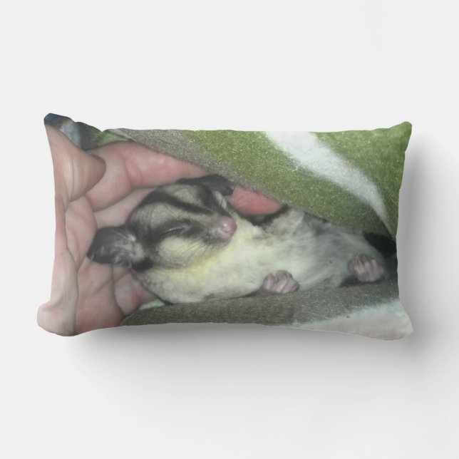 Sugar Glider Sleeping in Blanket Lumbar Cushion (Front)