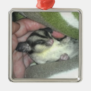 Sugar Glider Sleeping in Blanket Metal Tree Decoration
