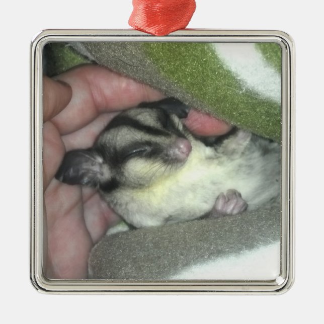 Sugar Glider Sleeping in Blanket Metal Tree Decoration (Front)