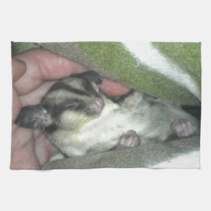 Sugar Glider Sleeping in Blanket Tea Towel