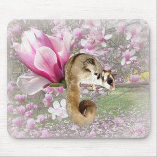 Sugar Glider Sweetness Mouse Pad