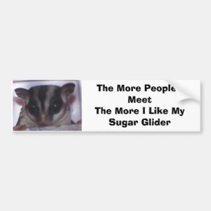 Sugar Glider, The More People I Meet The M... Bumper Sticker