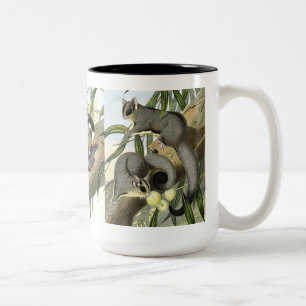 Sugar glider Two-Tone coffee mug