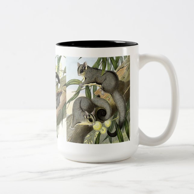 Sugar glider Two-Tone coffee mug (Right)