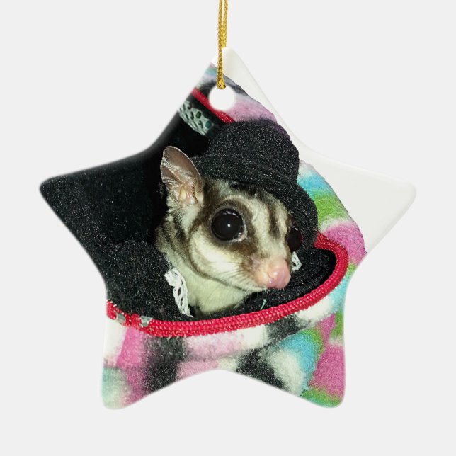 Sugar Glider Wearing a Hat Ceramic Tree Decoration (Front)