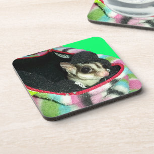 Sugar Glider Wearing a Hat Coaster