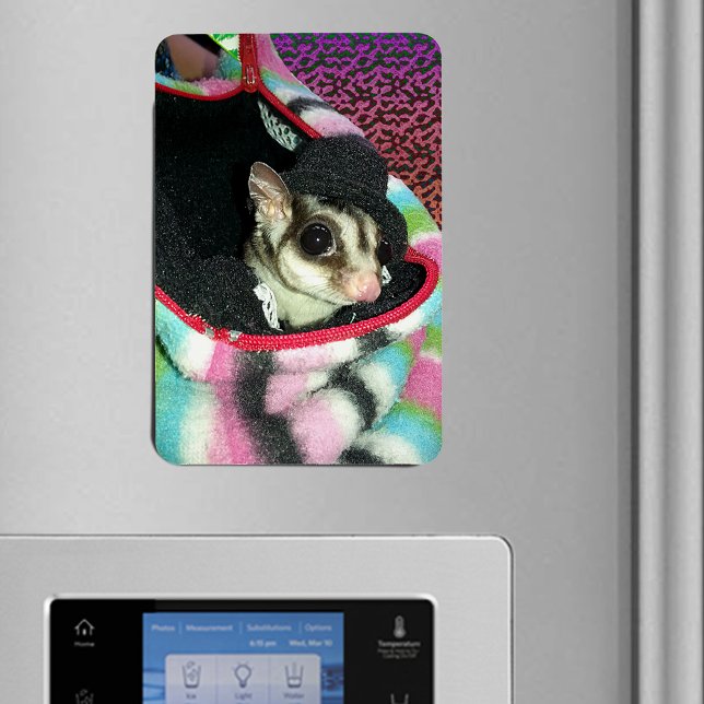 Sugar Glider Wearing a Hat Magnet (Sugar Glider Wearing a Hat Flexible Magnet)