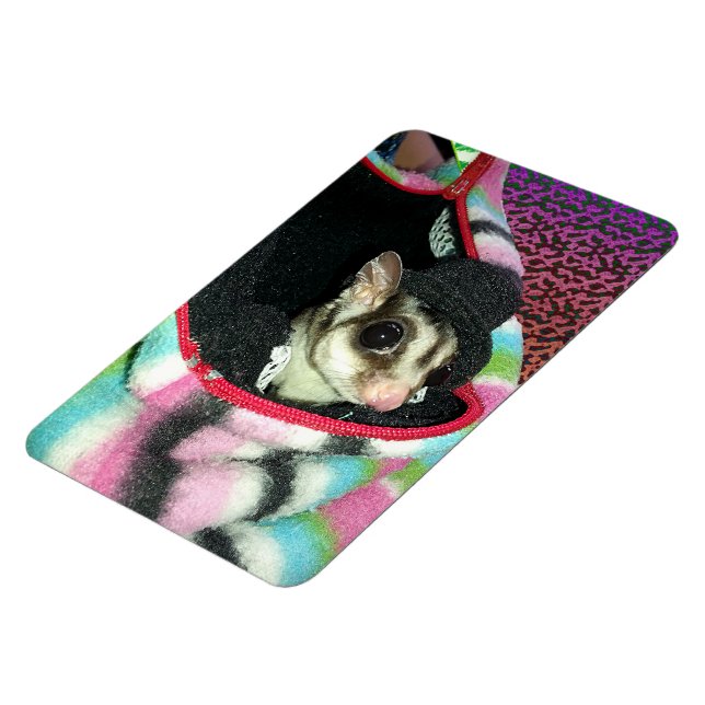 Sugar Glider Wearing a Hat Magnet (Left Side)