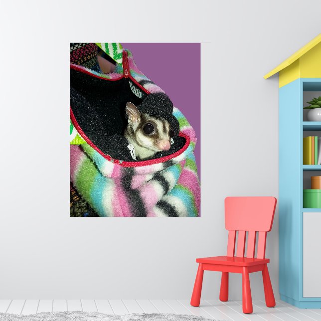 Sugar Glider Wearing a Hat Poster (Nursery 1)