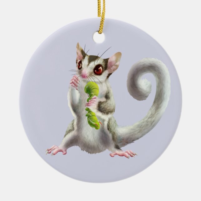 Sugar Glider with Horn worm ornament (Front)