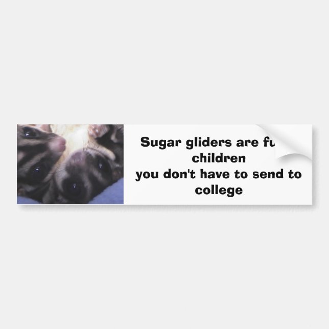 Sugar gliders are furr... bumper sticker (Front)