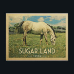Sugar Land Texas Horse Farm - Vintage Travel Postcard<br><div class="desc">Sugar Land Texas rural vintage travel postcard.  It features a white horse grazing on green grass with fence and blue clouds sky above. A fun country farm image with rustic charm.</div>