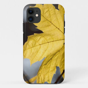 Sugar maple, fall iPhone 11 case