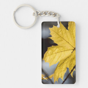 Sugar maple, fall key ring