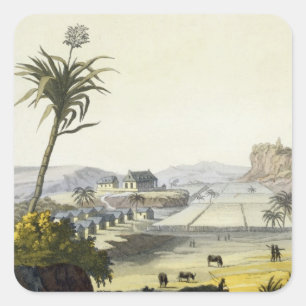 Sugar Plantation, Antilles (colour engraving) Square Sticker
