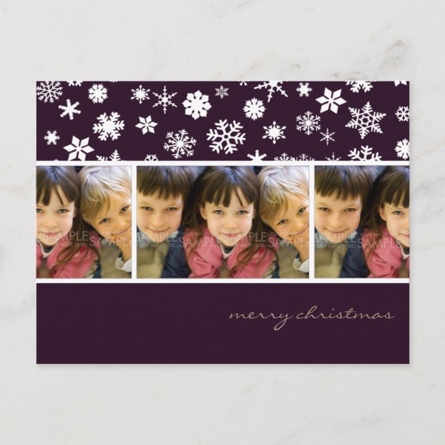 Sugar Plum Snowflakes :: Christmas Photo Postcard (Front)