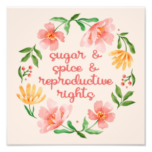 Sugar & Spice & Reproductive Rights III Photo Print