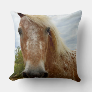 Sugar The Appaloosa Horse, Large Throw Cushion. Cushion