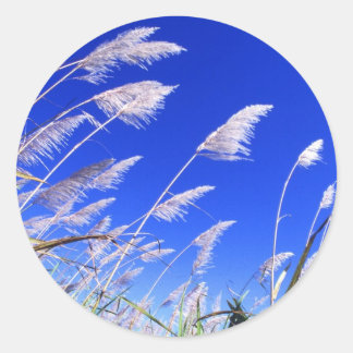 Sugarcane field classic round sticker