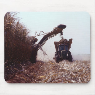 Sugarcane harvest mouse pad