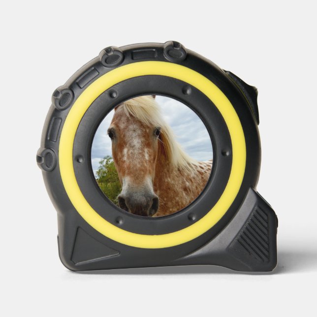 "Sugar's Stride: The Appaloosa's Grace" 1 (Front)