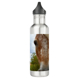 "Sugar's Stride: The Appaloosa's Grace" 710 Ml Water Bottle