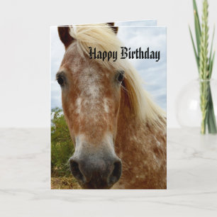 "Sugar's Stride: The Appaloosa's Grace" Card