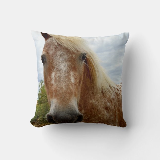"Sugar's Stride: The Appaloosa's Grace" Cushion (Front)