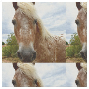 "Sugar's Stride: The Appaloosa's Grace" Fabric