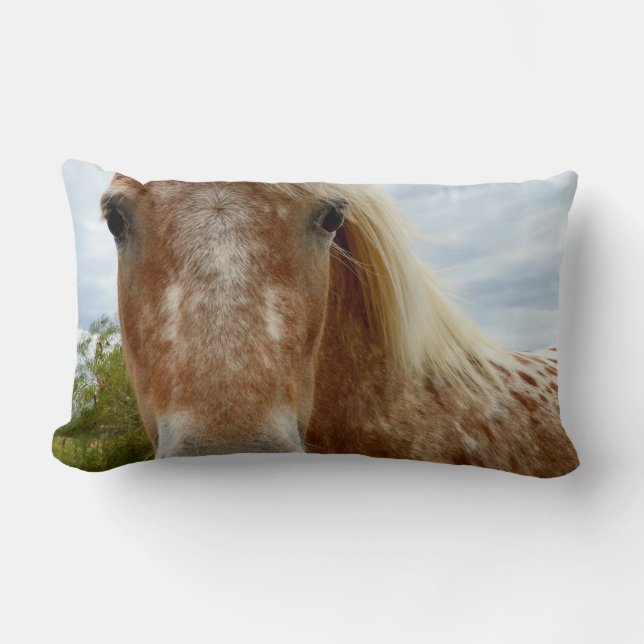 "Sugar's Stride: The Appaloosa's Grace" Lumbar Cushion (Front)