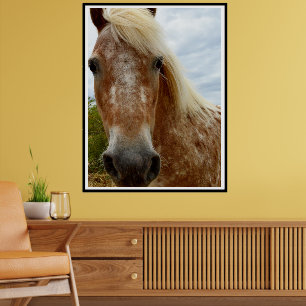 "Sugar's Stride: The Appaloosa's Grace" Poster