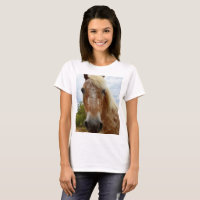 "Sugar's Stride: The Appaloosa's Grace"