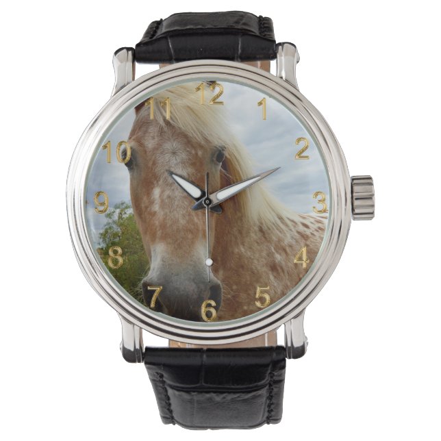 "Sugar's Stride: The Appaloosa's Grace" Watch (Front)