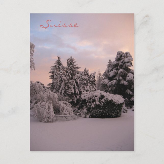 Suisse Postcard (Front)