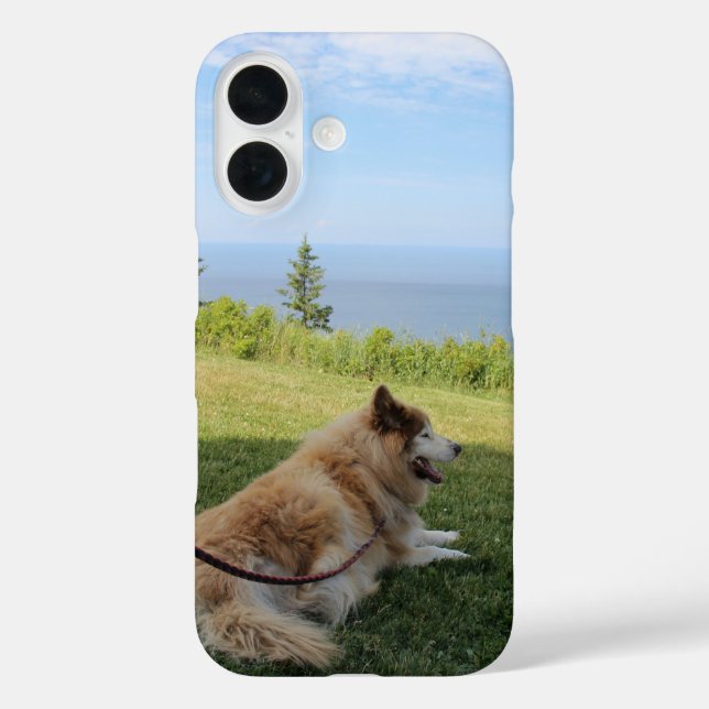 Suka Enjoying Cape George Case-Mate iPhone Case (Back)