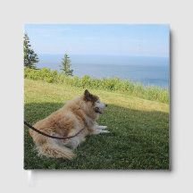 Suka Enjoying Cape George