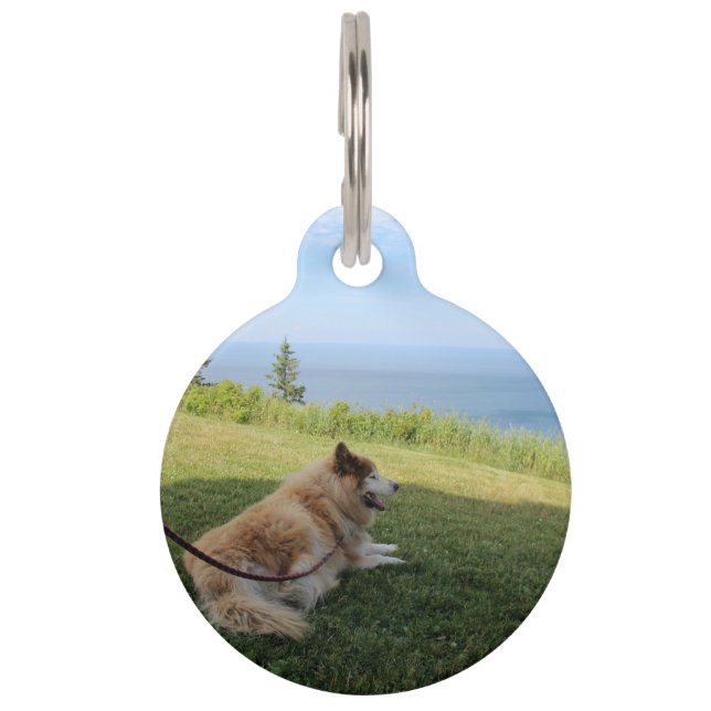 Suka Enjoying Cape George Pet Tag (Front)