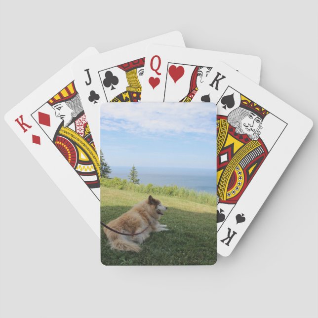 Suka Enjoying Cape George Playing Cards (Back)