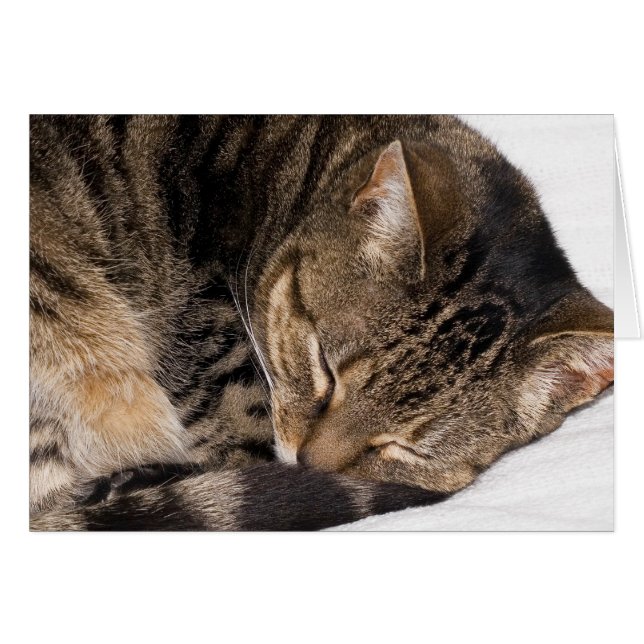 Suki (Front Horizontal)