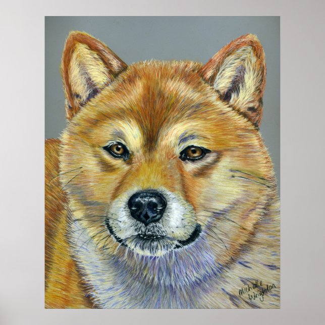 Suki - Shiba Inu Poster (Front)