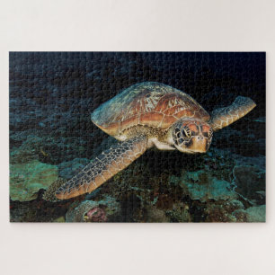 Sulawesi   Green Sea Turtle Jigsaw Puzzle
