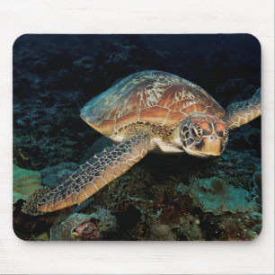 Sulawesi Green Sea Turtle Mouse Pad