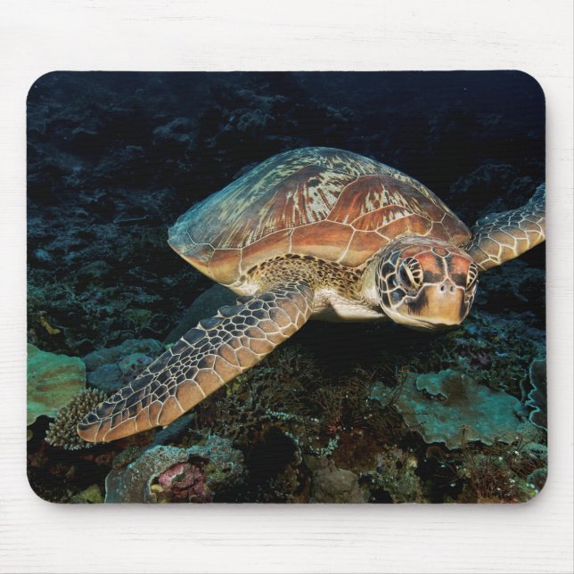 Sulawesi | Green Sea Turtle Mouse Pad (Front)