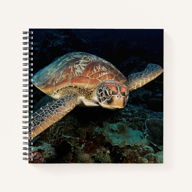 Sulawesi | Green Sea Turtle Notebook (Front)