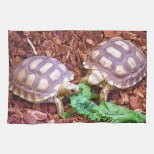 Sulcata Tortoise Hatchlings Tea Towel