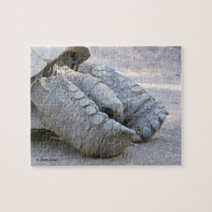 Sulcata Tortoise Jigsaw Puzzle