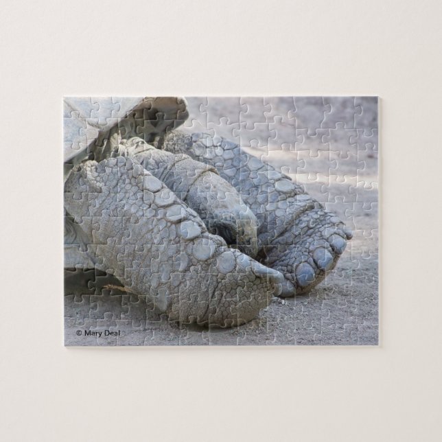 Sulcata Tortoise Jigsaw Puzzle (Horizontal)