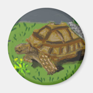 Sulcata Tortoise Magnet