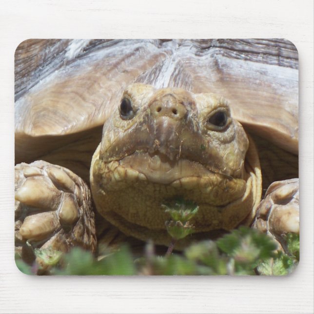 Sulcata Tortoise Mouse Pad (Front)