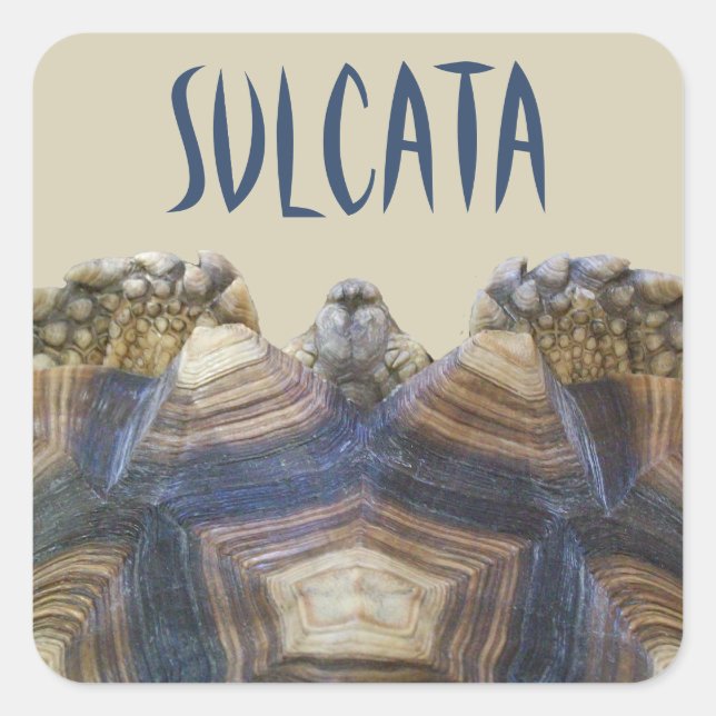 Sulcata Tortoise Stickers (Front)